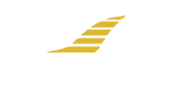 Astute Horse